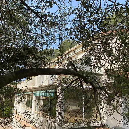 Sea And Sun Saint-Raphaël