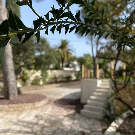 De Charme Avec Piscine Jardin Raphael