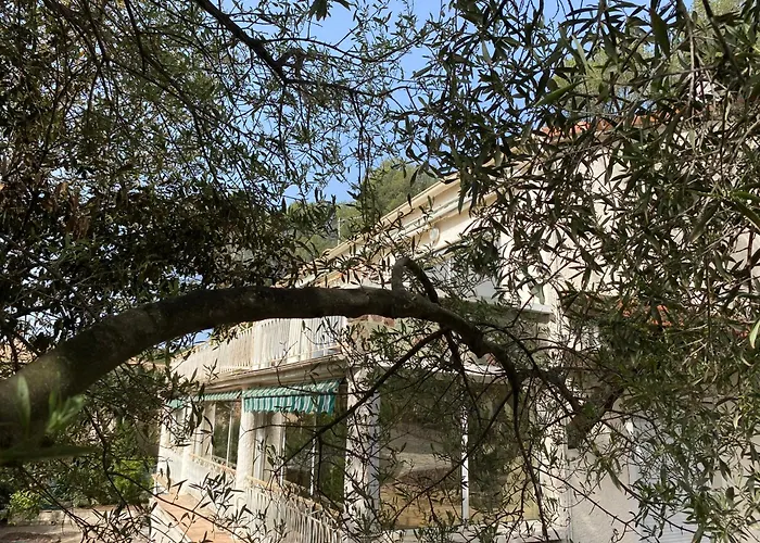 Sea And Sun Saint-Raphaël